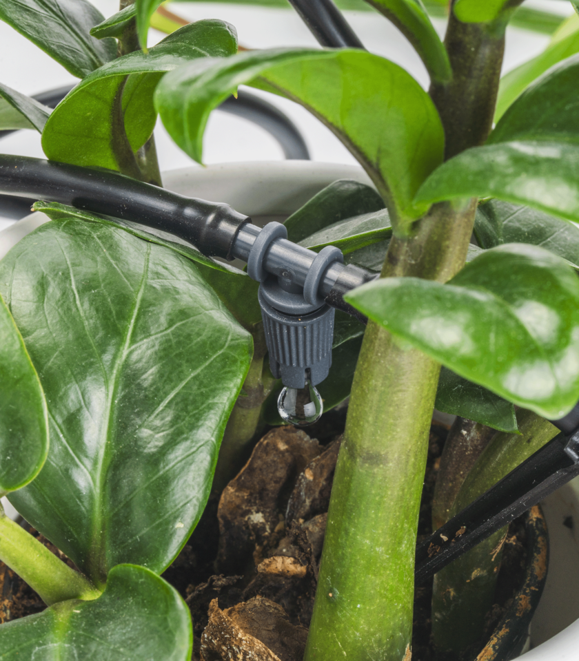 CO1606-MK2 WATER DROP DSC06683 2023 v1 WEB CO1606-MK2 WATER DROP DSC06683 2023 v1 WEB