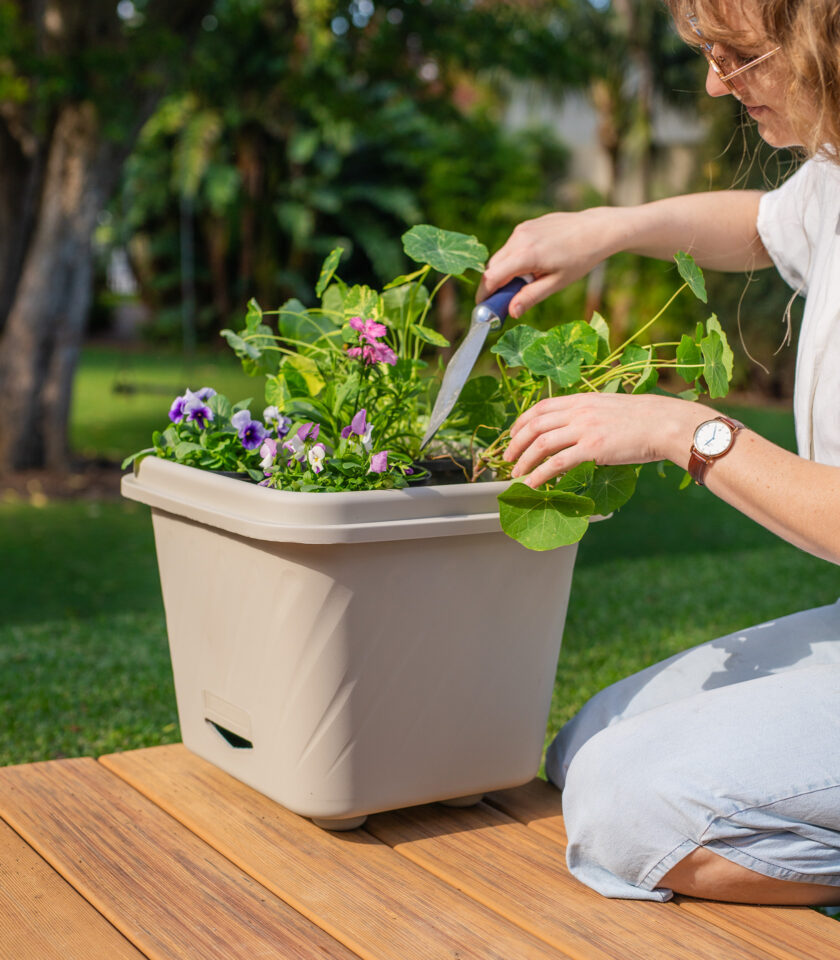 PPS103 DSC09869 - WEB PPS103 DSC09869 - WEB