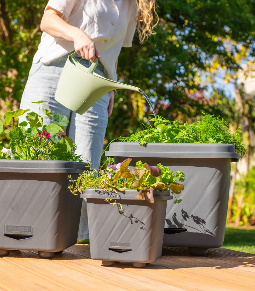 PPS005C DSC09894 - WEB PPS005C DSC09894 - WEB