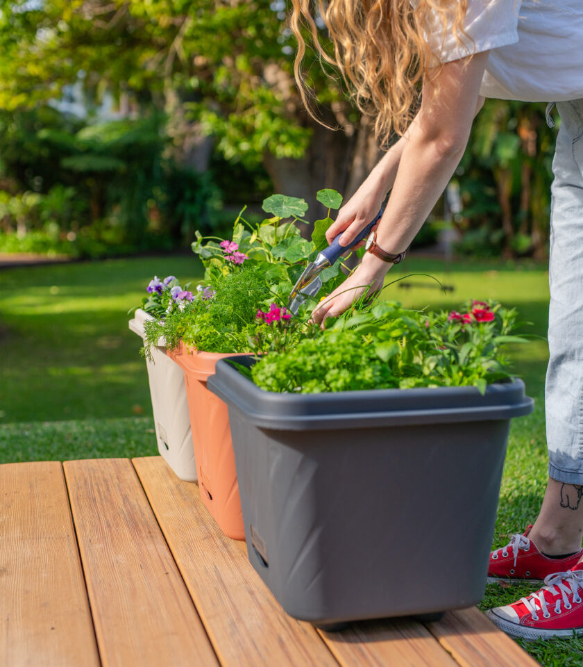 PPS103 DSC09867 - WEB PPS103 DSC09867 - WEB