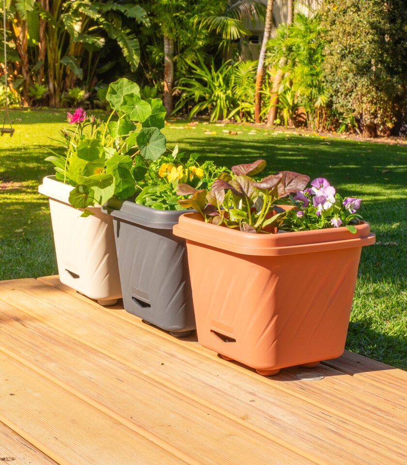 PPS202-DSC09817-WEB PPS202-DSC09817-WEB