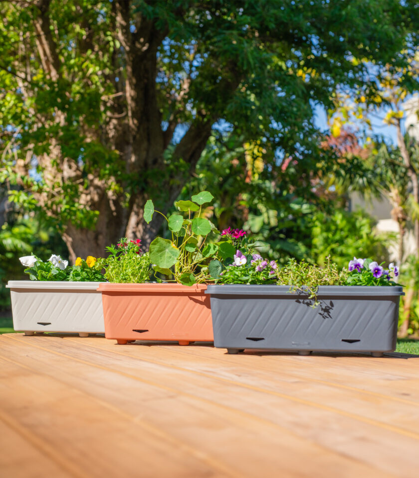 PPT004 Lifestyle DSC09906 WEB PPT004 Lifestyle DSC09906 WEB