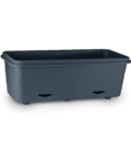 PPT004C Cutout 2024 v1 - WEB
