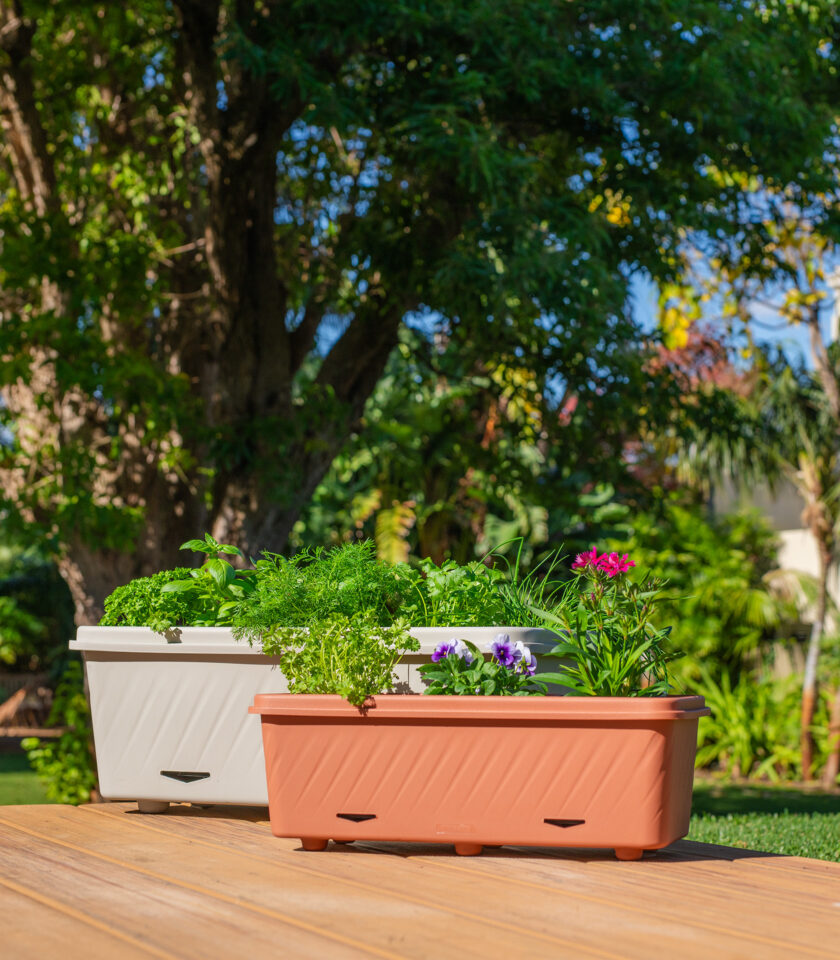 PPT004T Lifestyle DSC09914 WEB PPT004T Lifestyle DSC09914 WEB