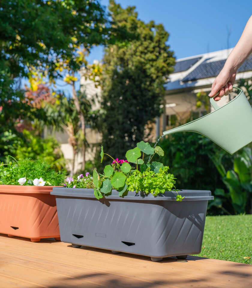 PPT106C Lifestyle DSC09922 WEB PPT106C Lifestyle DSC09922 WEB