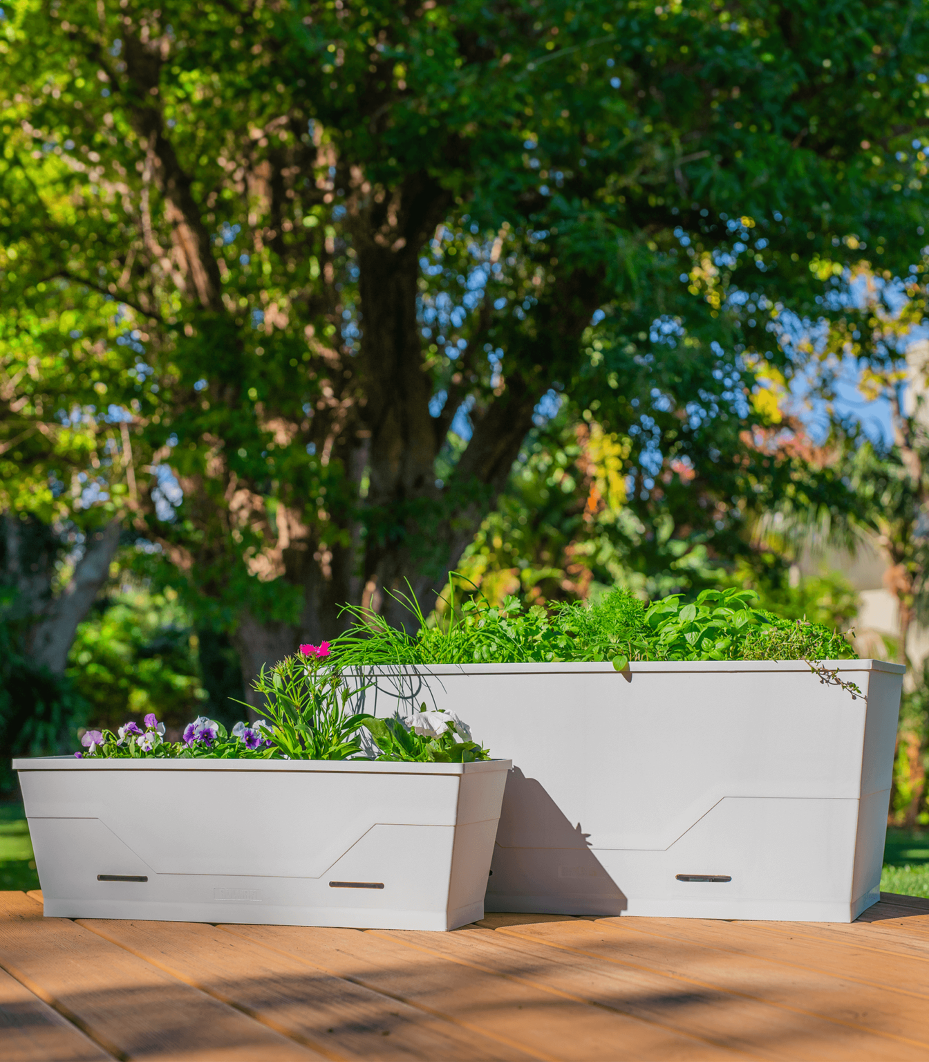 Large Self-Watering Planter - Modern - Dune - Holman Industries