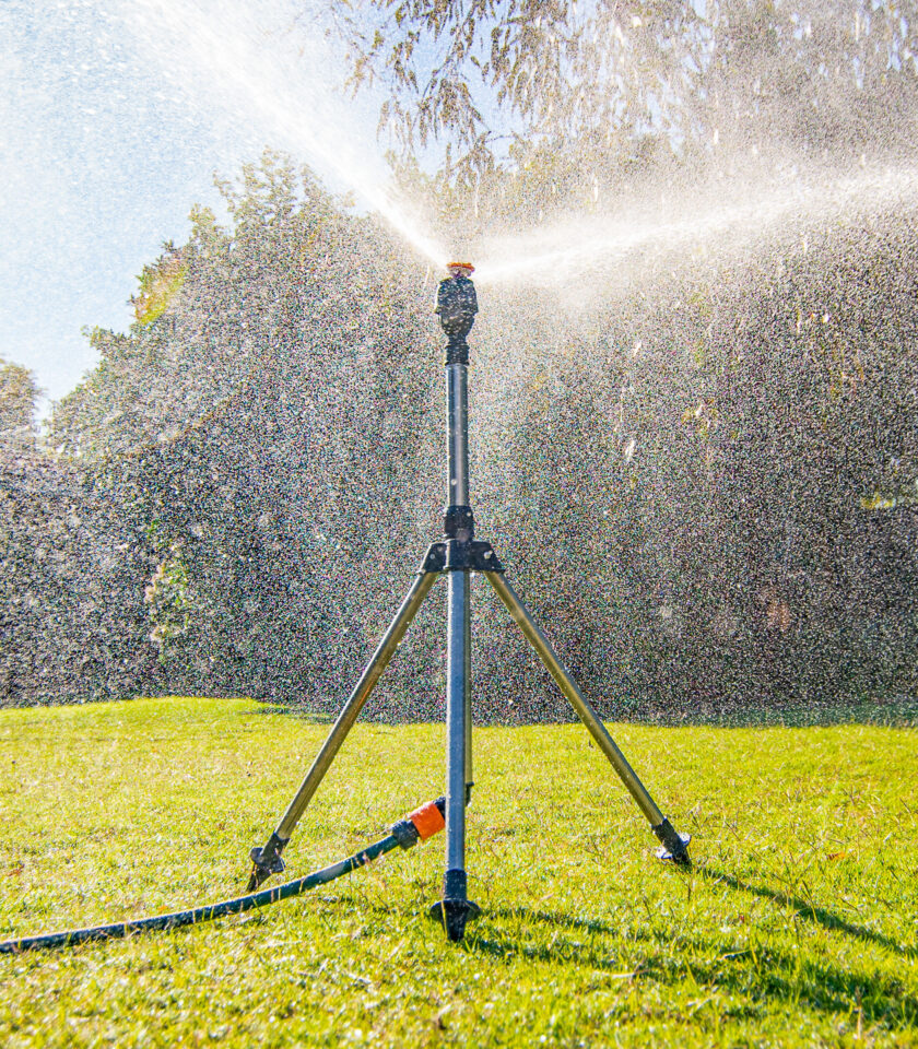 7011H DSC09461 - WEB 7011H DSC09461 - WEB