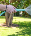 CDH1215L DSC00609 WEB
