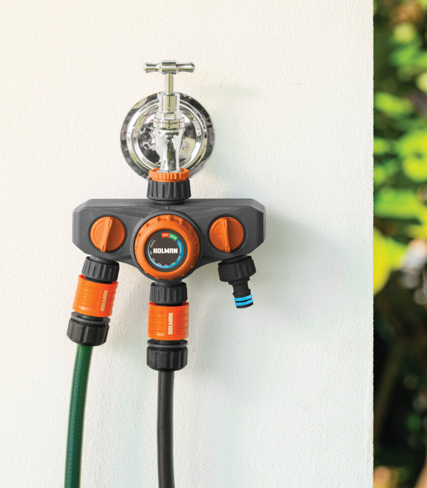 CO0023 DSC09671 WEB 2 CO0023 DSC09671 WEB 2