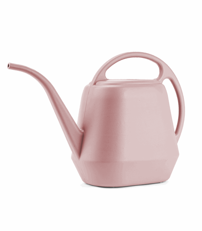 PWC004FF CUTOUT DSC01673 2025 v1 WEB