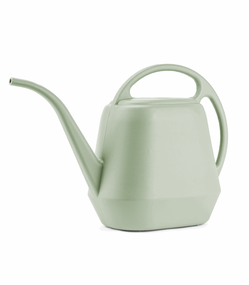 PWC004SP CUTOUT DSC01673 2025 v1 WEB