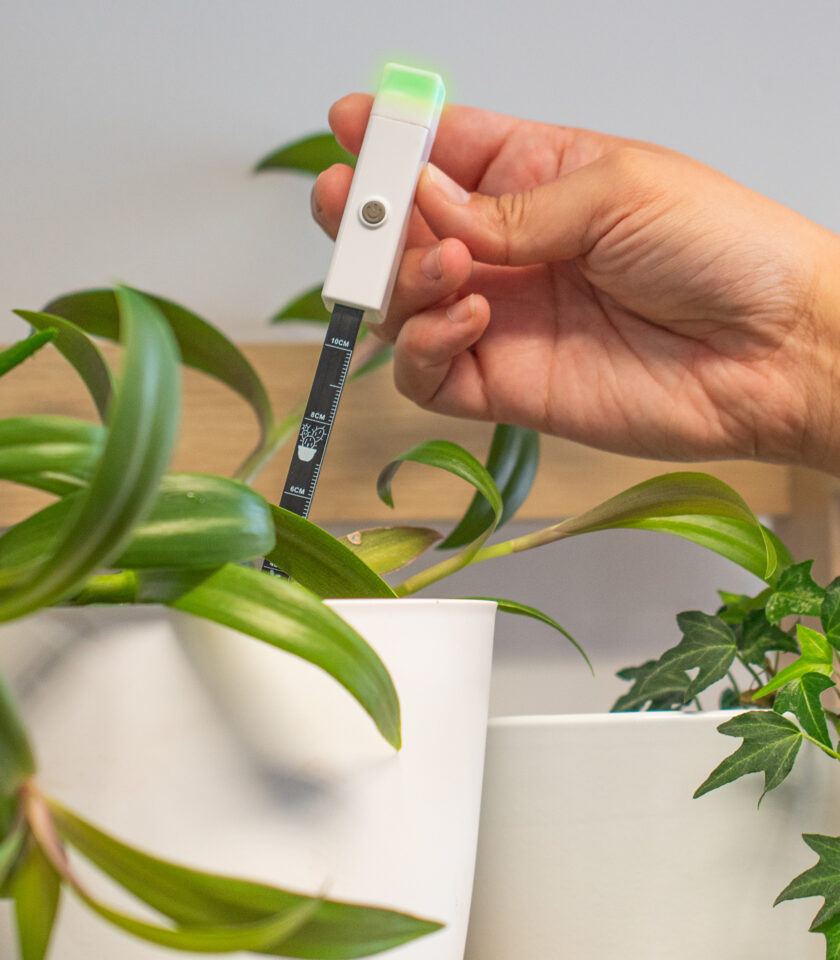 TZLMS DSC09876 Green WEB TZLMS DSC09876 Green WEB