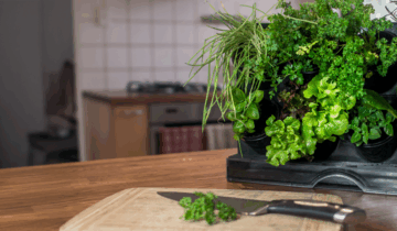 Gifts That Grow With Purpose