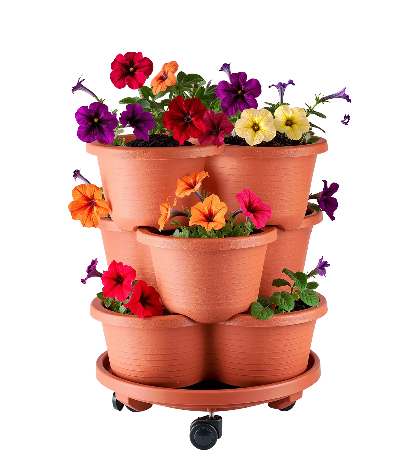Venn Garden inspiration - a vibrant planting of petunias