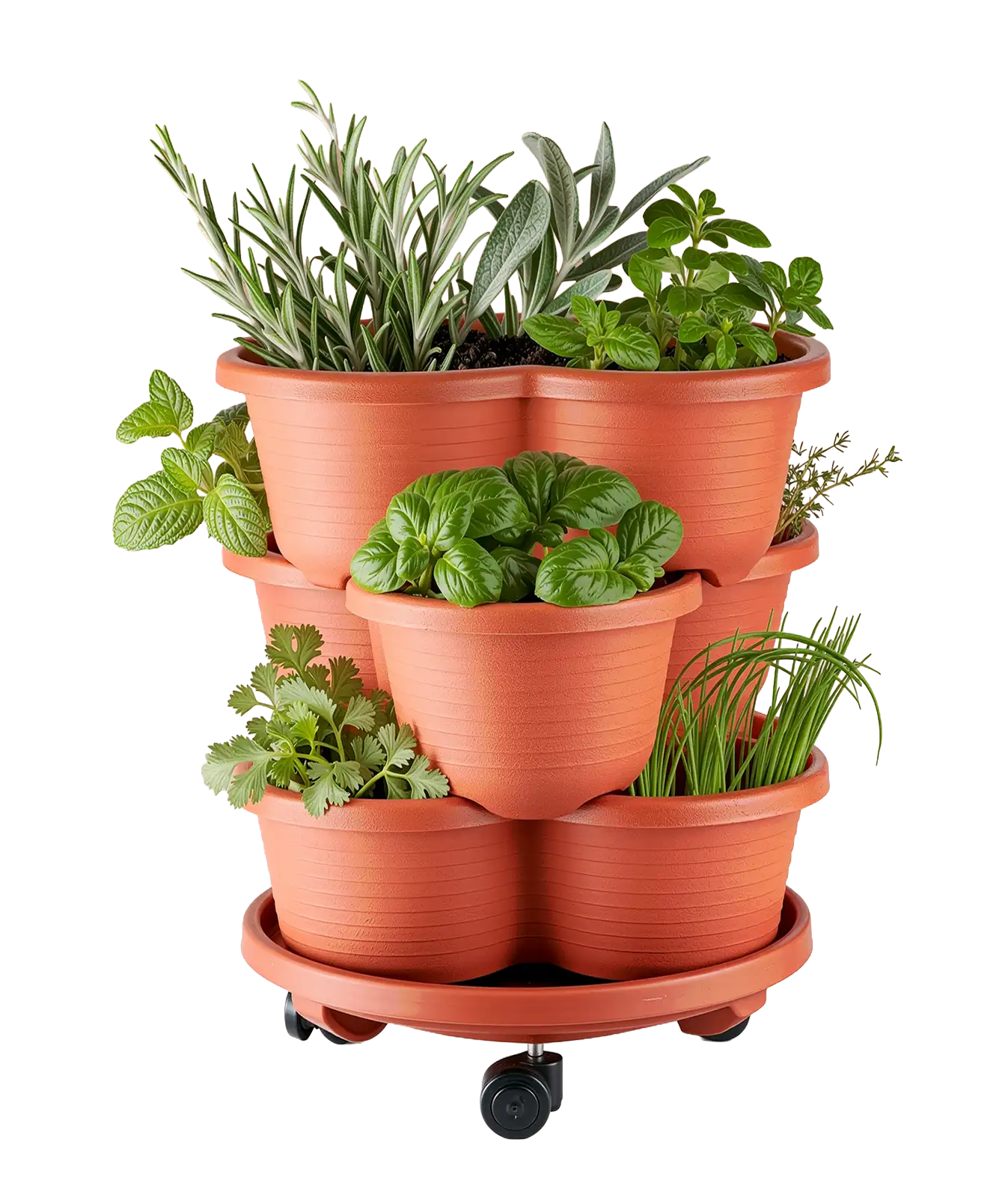 Venn Garden inspiration - Herbs handy for the kitchen