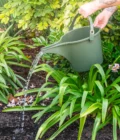 Holman 8L Bucket Watering Can watering garden Holman 8L Bucket Watering Can watering garden