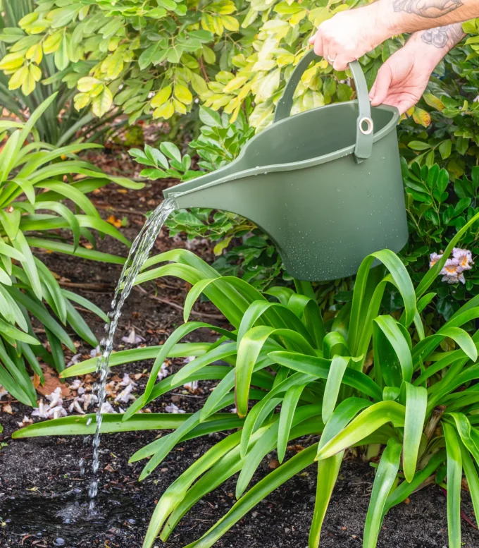 Holman 8L Bucket Watering Can watering garden