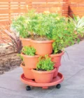 Venn_Garden_Lifestyle Venn Garden pots planted with herbs and flowers
