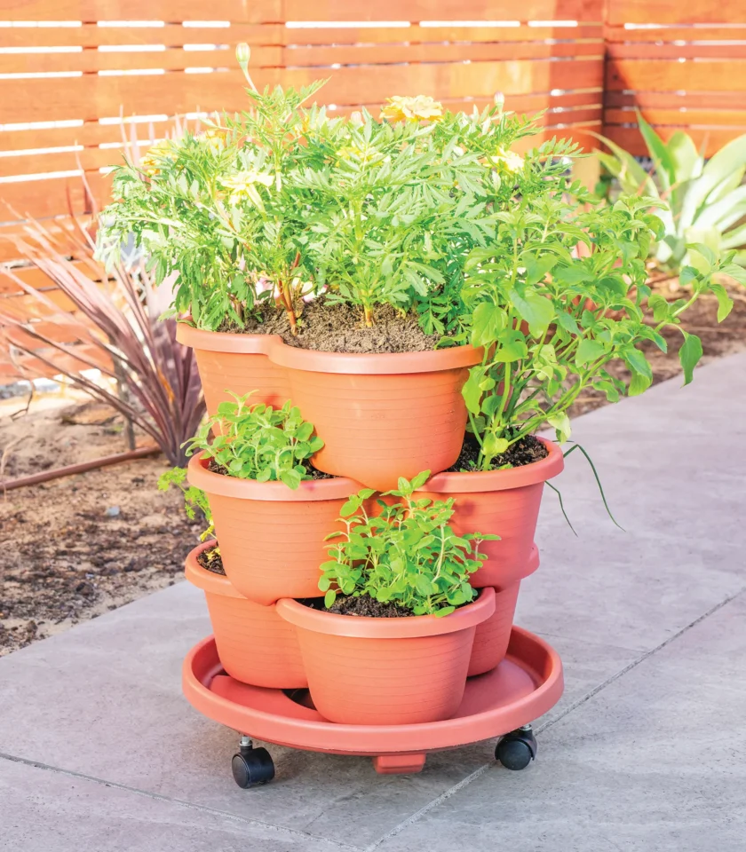 Venn_Garden_Lifestyle Venn Garden pots planted with herbs and flowers