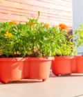 Venn_Garden_Lifestyle2 Venn Garden planters