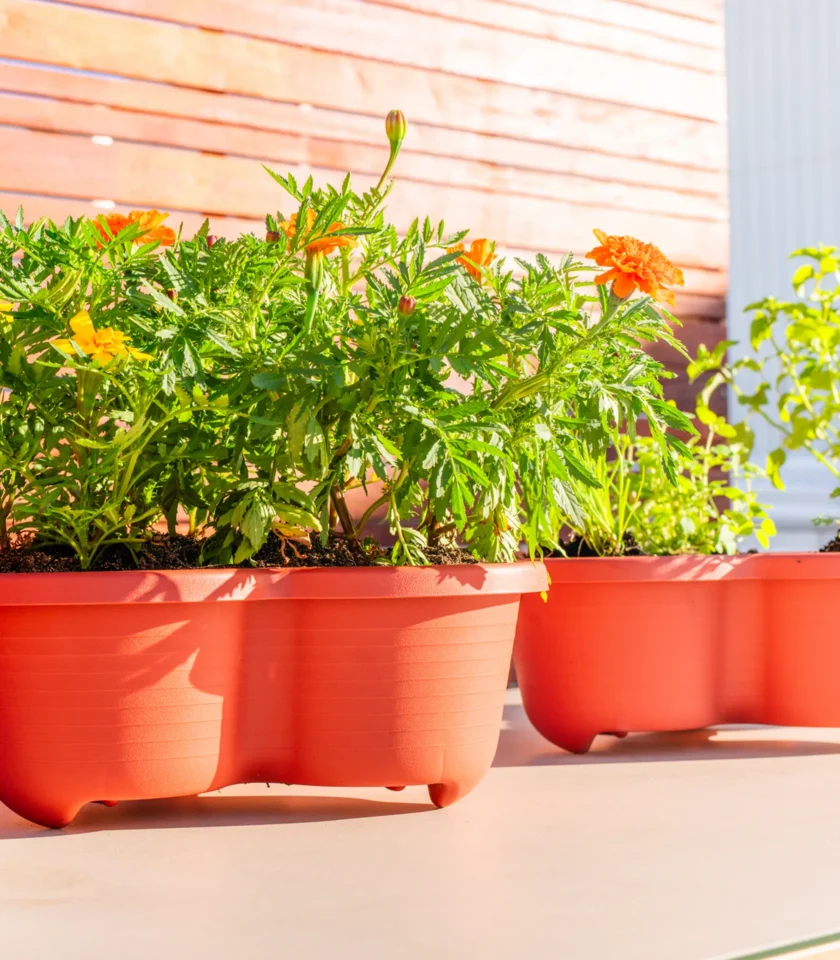 Venn_Garden_Lifestyle2 Venn Garden planters