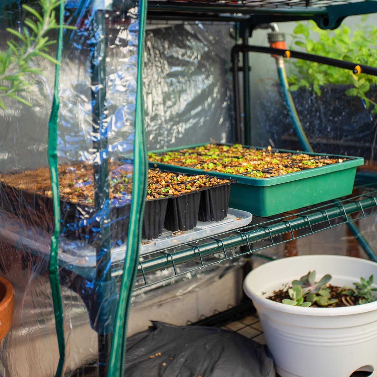 DIY Garden Projects - 4 Tier Greenhouse