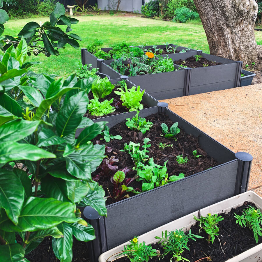 DIY Garden Projects - Raised Garden Bed