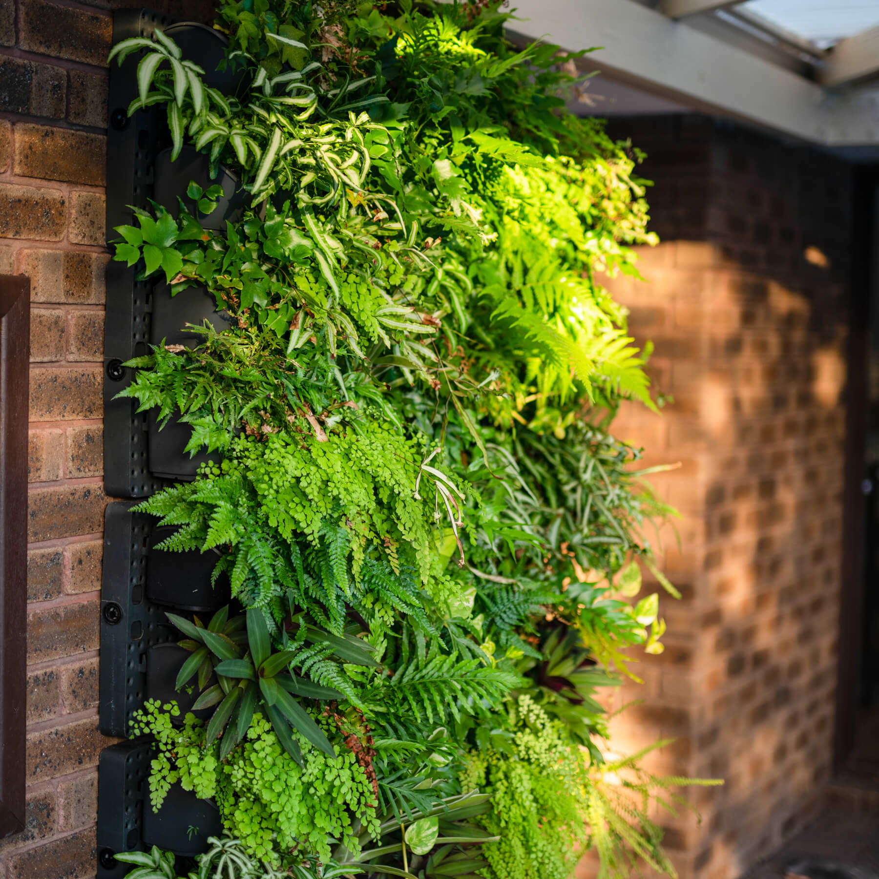 DIY Garden Projects - Vertical GreenWall