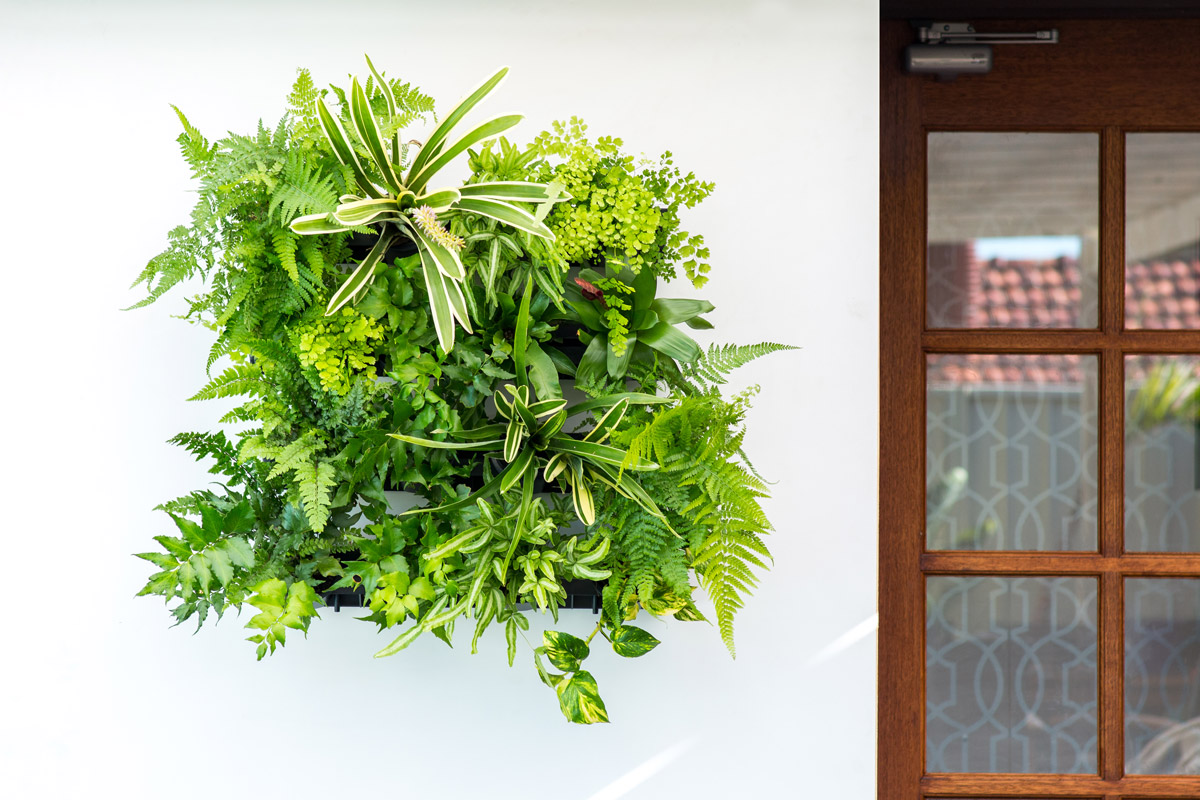 Easy-gardening-projects-greenwall