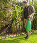 EzySpray pump free garden sprayer