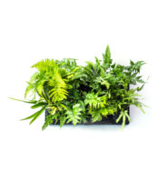 GreenWall® Vertical Planting Kit