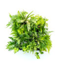 GW1016 Pixel Pot Vertical Planting Kit