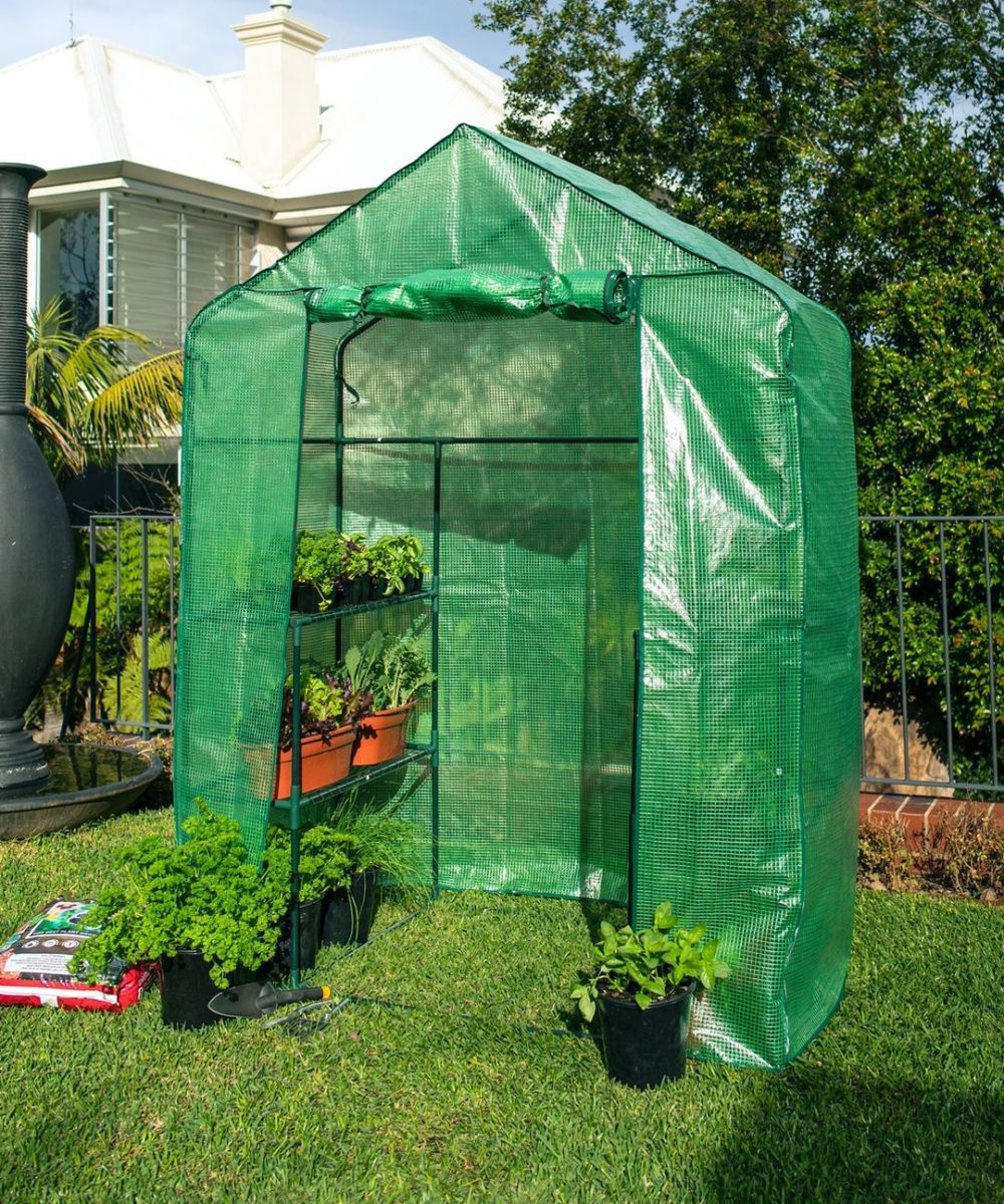 Holman Instagram Wak-in Greenhouse 2