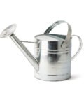 WC0010 9L Galvanised Watering Can