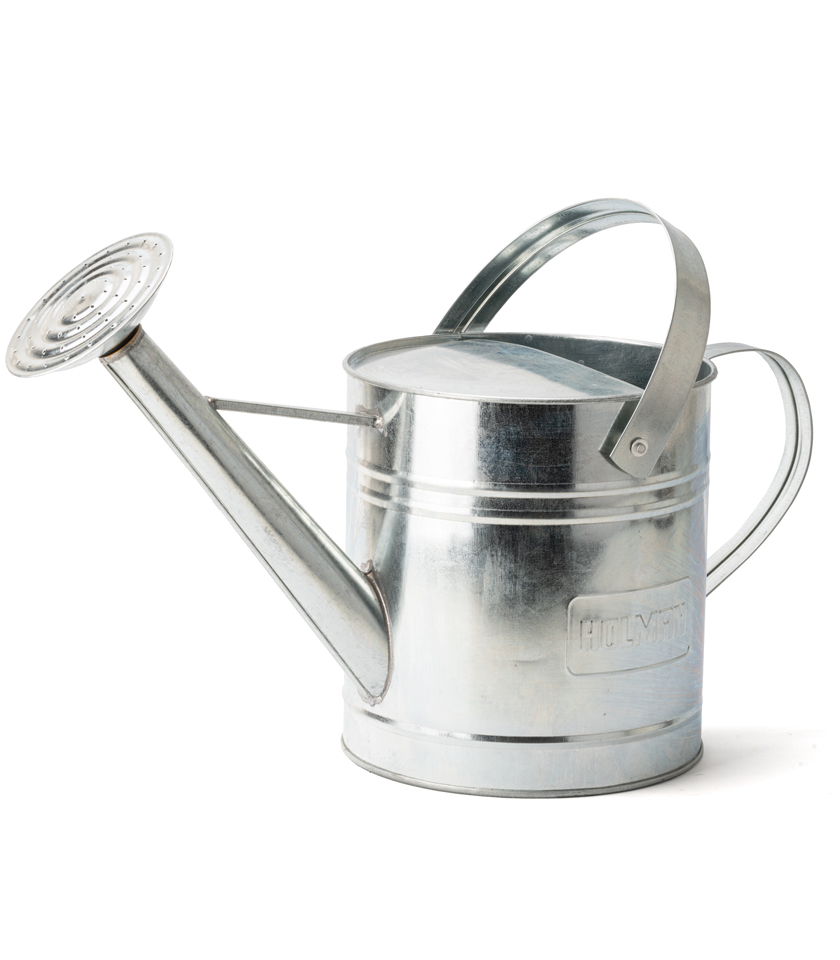 WC0010 9L Galvanised Watering Can