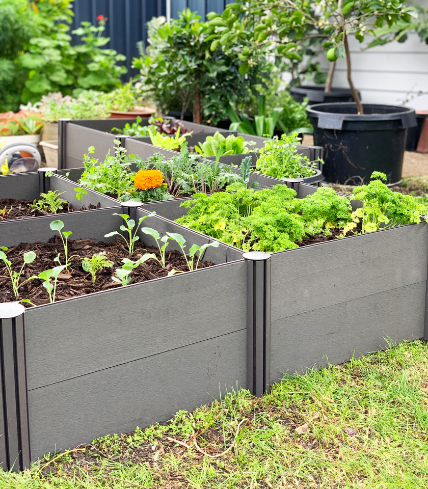 being-water-efficient-with-mulch