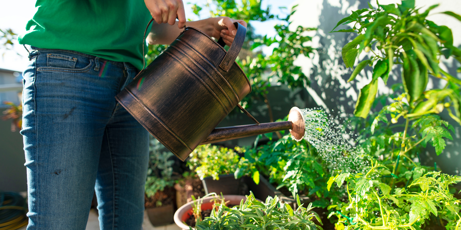 garden ready for summer - watering can