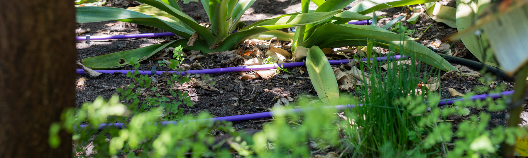 improve your home for summer