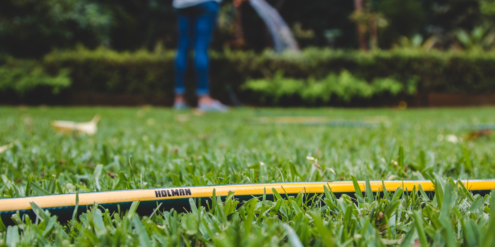 keeping your lawn green watering keeping your lawn green