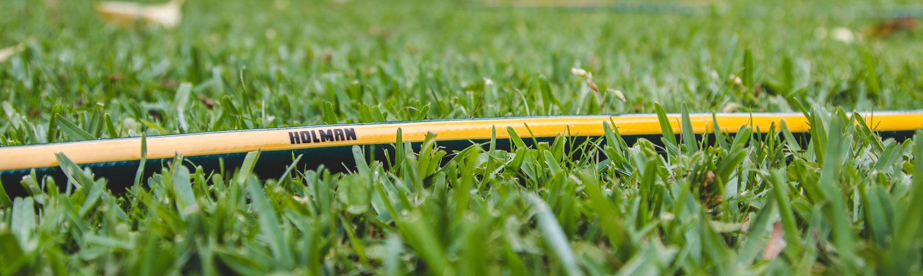 maintaining-lawn-in-winter