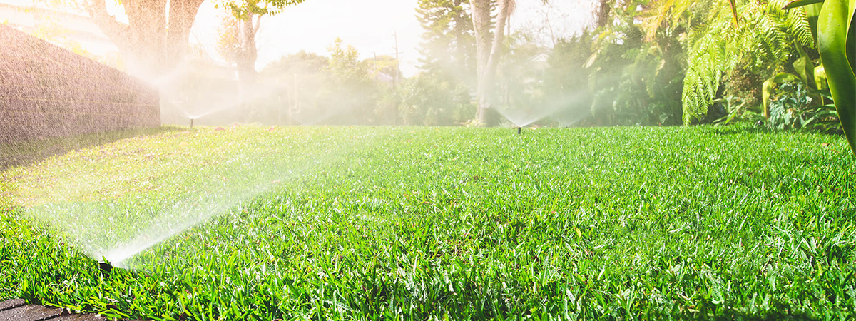 popup-sprinkler-banner