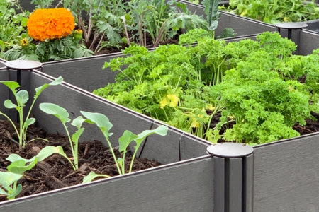 prepare-garden-beds-for-spring-header