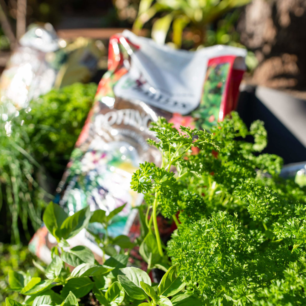 How to prepare your Garden Beds for Spring Holman Industries