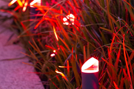 setting-up-garden-lights