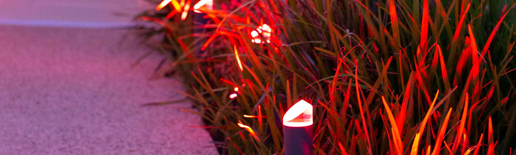 setting-up-garden-lights