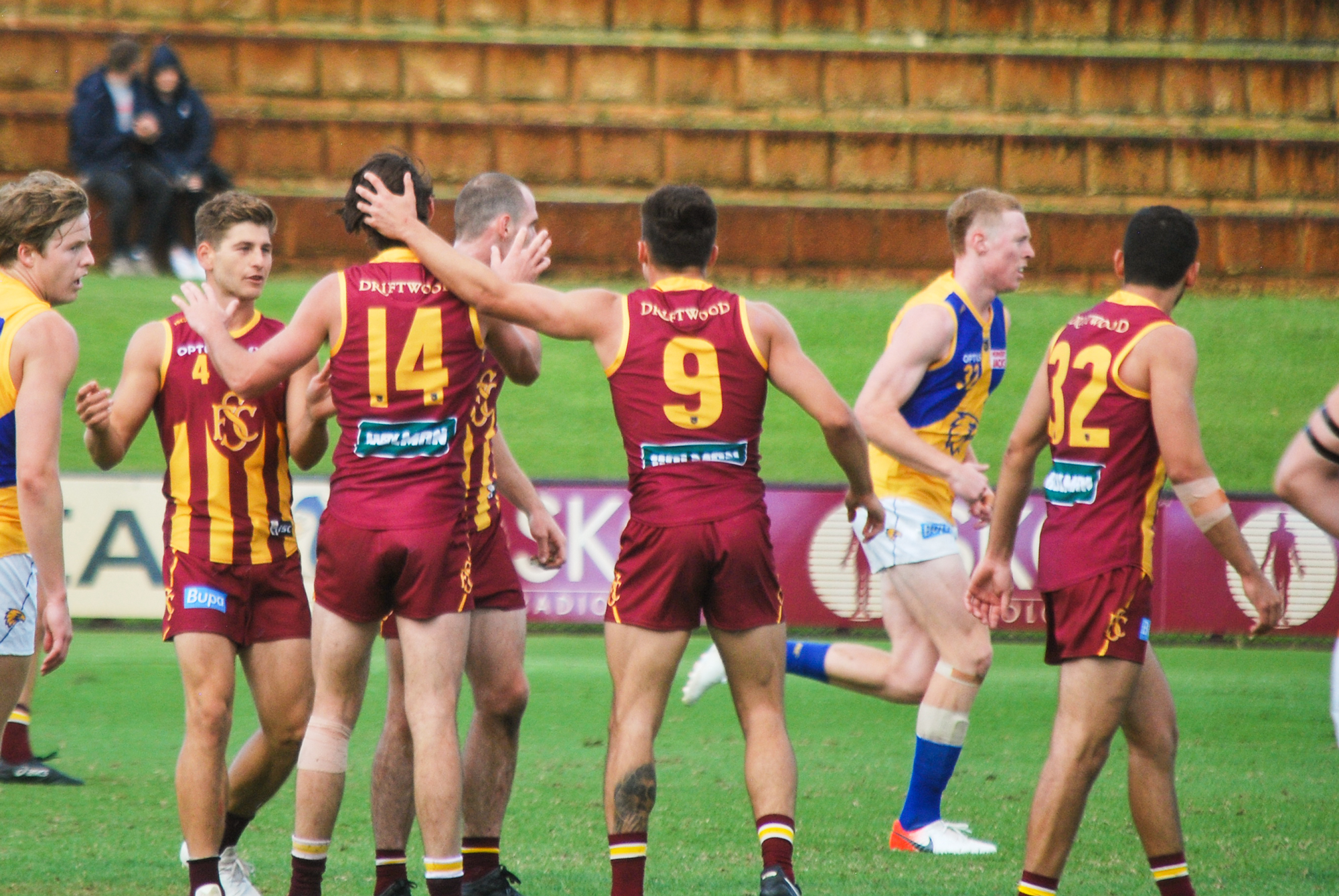 Subiaco Lions