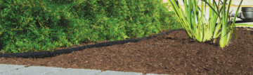 How to use Mulch in the Garden