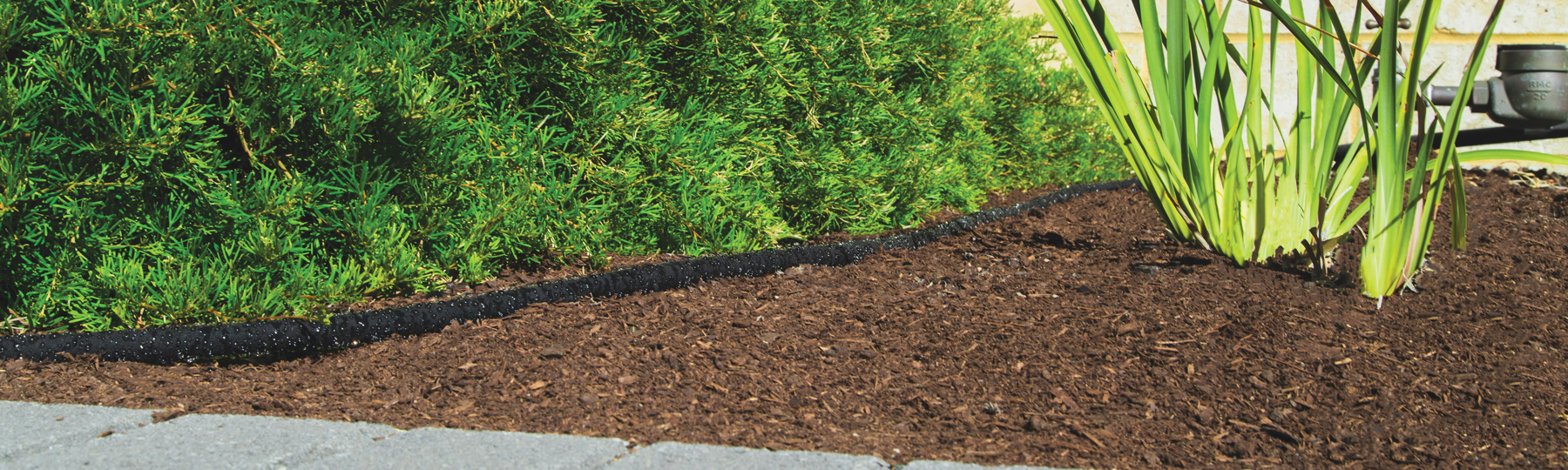 using mulch in the garden