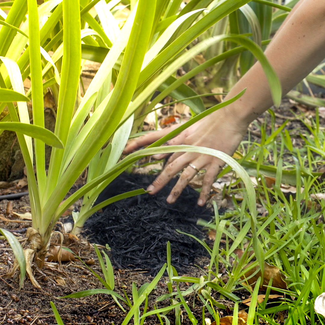 using mulch in the garden