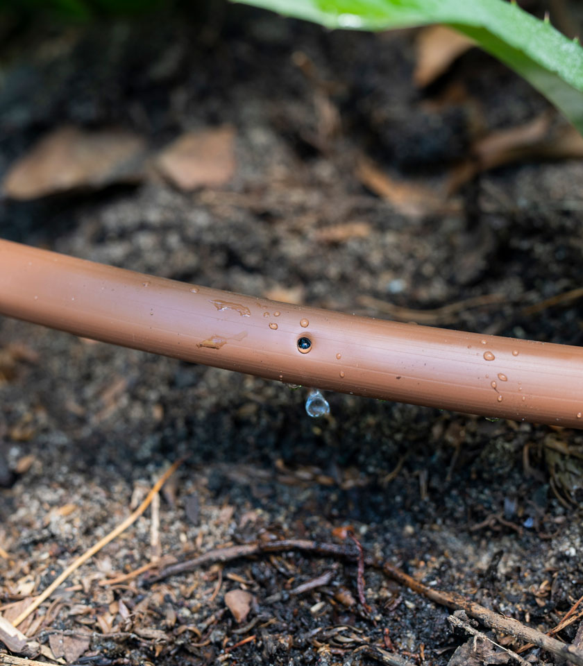 using mulch in the garden